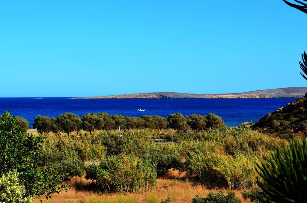 Maridatis Apartments Palekastro Dış mekan fotoğraf